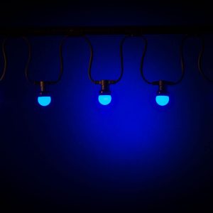 Feestverlichting blauwe lampen per 10 mtr., 220 v