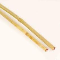 Bamboe takken per 5 stuks