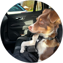 Antoni uni profielfoto